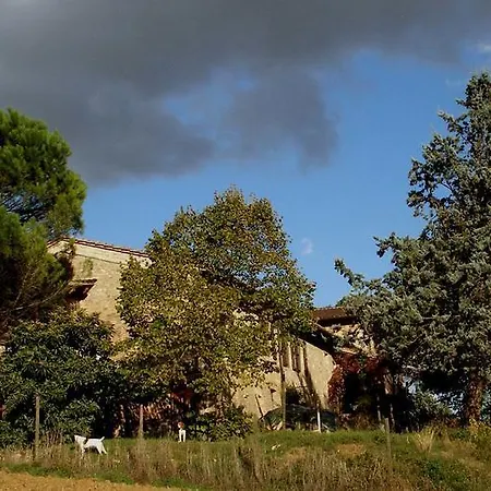 Della Rosa * Civitella D'Arna