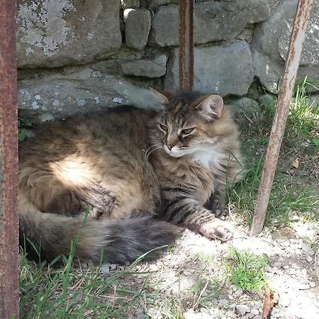 Couette-café Della Rosa Civitella D'Arna