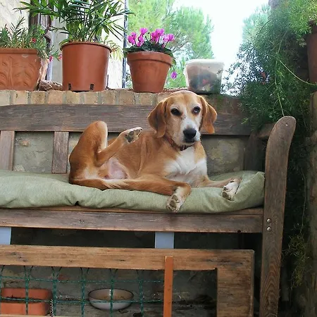 Della Rosa