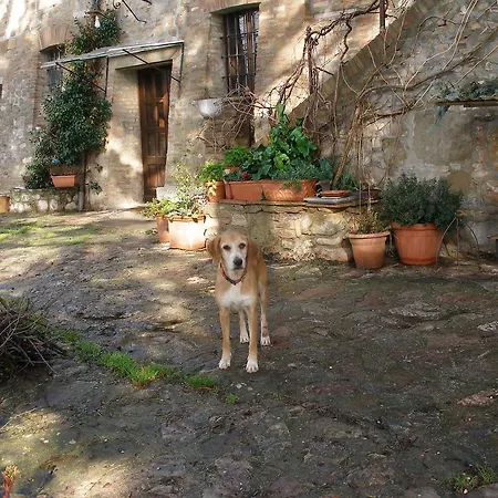 Della Rosa * Civitella D'Arna