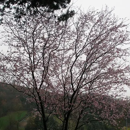 Couette-café Della Rosa Civitella D'Arna