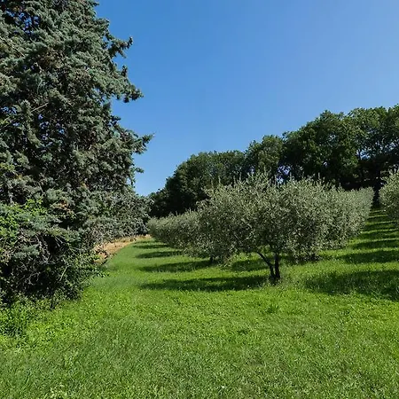 德拉罗萨住宿加早餐旅馆 Civitella D'Arna