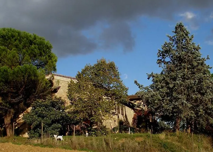 Della Rosa * Civitella D'Arna