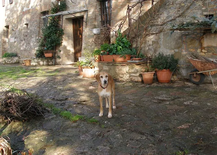 Della Rosa * Civitella D'Arna